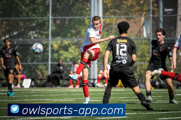 猫头鹰体育APP平台生态图