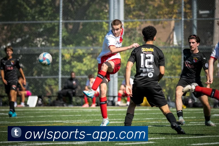 猫头鹰体育APPAPP 封面图